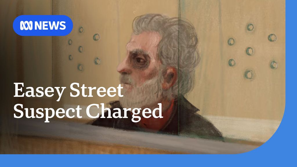 Easey Street Suspect Charged: A courtroom sketch of a man with grey hair and a grey beard behind a see-through screen.