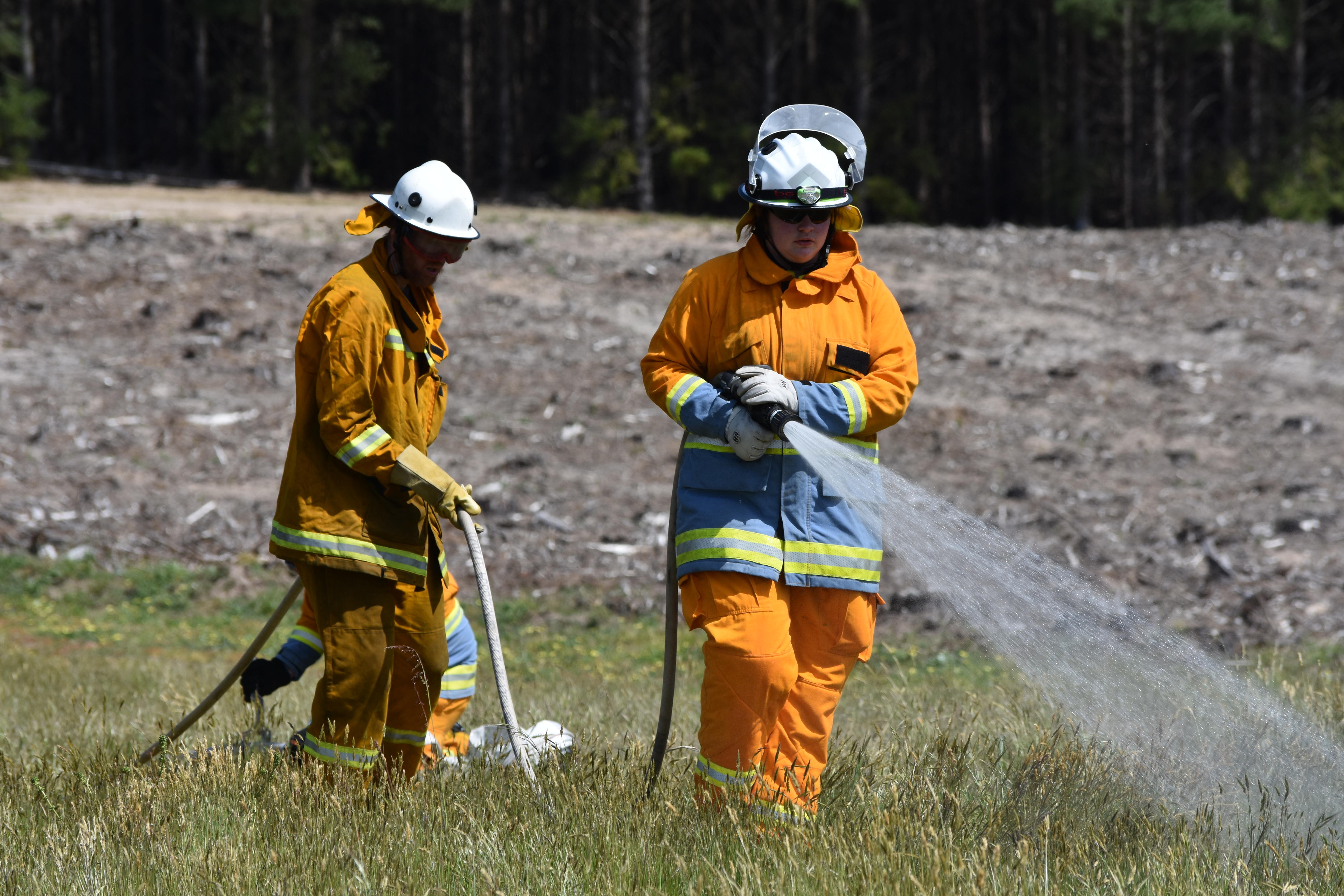 Firefighters in the field.