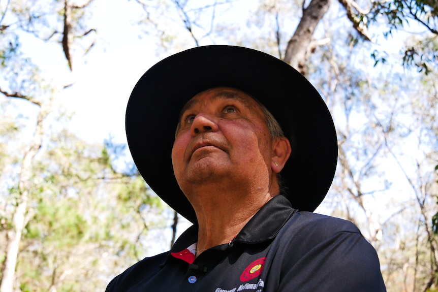 a man looks up at the trees with branches in the background. He's wearing a hat