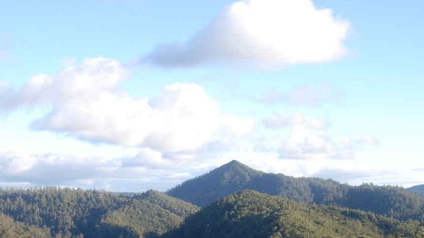 Venture Minerals needs Commonwealth approval before it can mine in the Tarkine region.