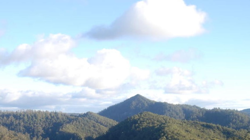 Aerial shot Tarkine wilderness, Tasmania July 17, 2008.