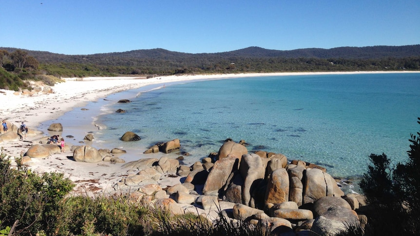 Binalong Bay view.