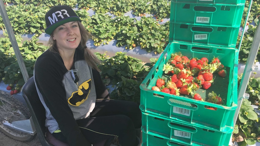 Kajsa Holmbom posing with her strawberry picking cart.