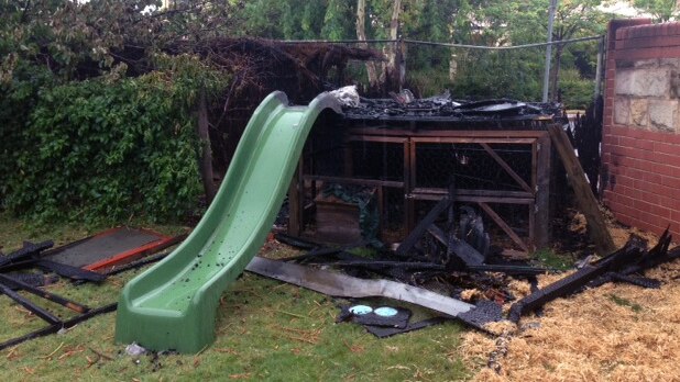 Cubby house, chook pen destroyed in arson attack