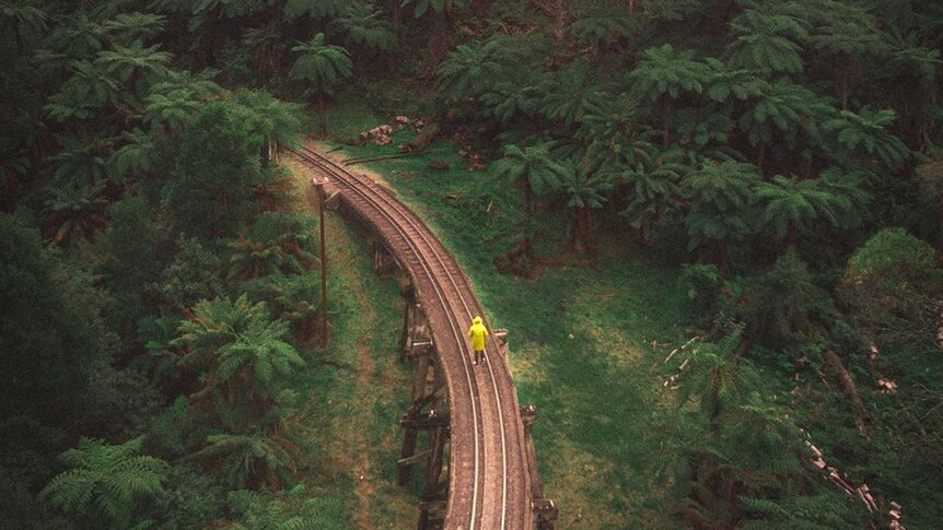 A photo from above of train tracks surrounded by green foliage. A person in a yellow coat stands on the train tracks.