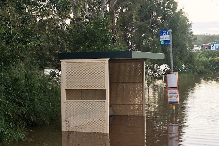 Bus stop in flooded street in Beenleigh on April 1, 2017