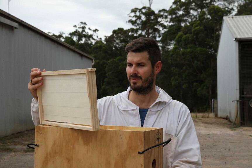 WA commercial beekeeper Ryan Brand with a new frame
