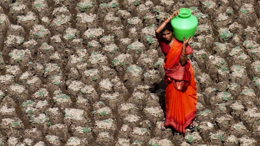 An Indian woman carries a pot of drinking water