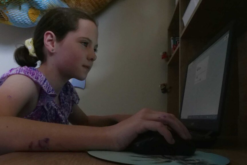 Young girl in frilly top works at a computer
