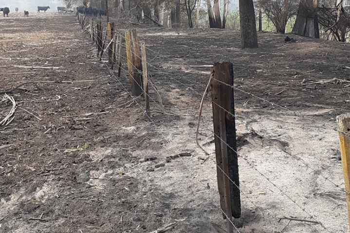 Picture of a burnt farm fence at Matthew Rijs' East Gippsland property.