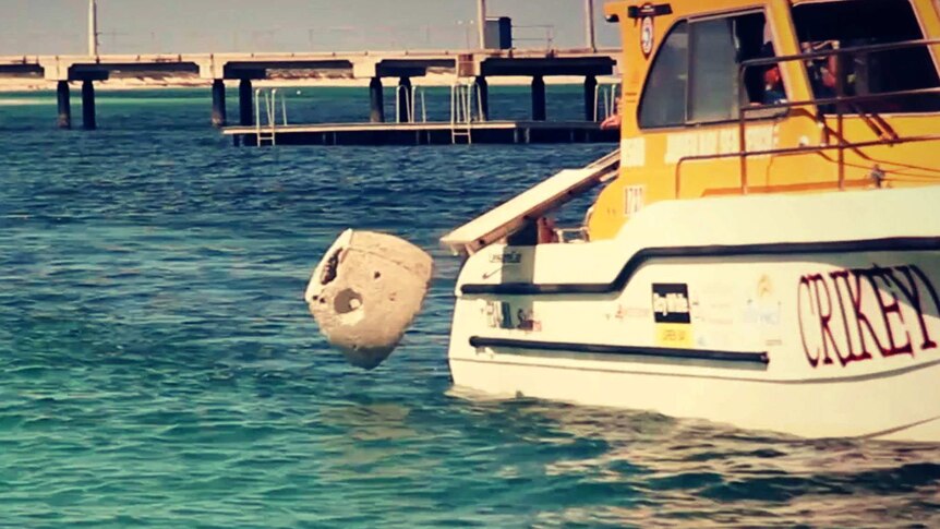 Ashes inside an artificial reef ball are dropped into the Indian Ocean at Jurien Bay in WA.