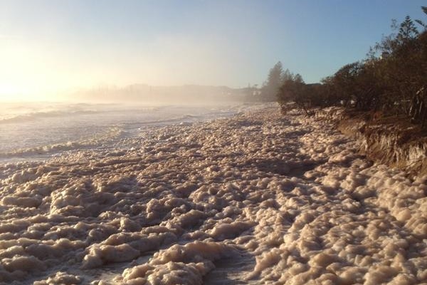 A beach stretching off into the distance and where the sand would usually be is full of fluffy, brown foam
