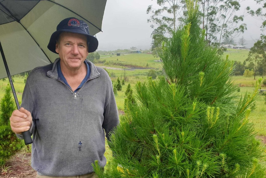 Christmas tree farmer Wayne Duver on his farm at Coramba
