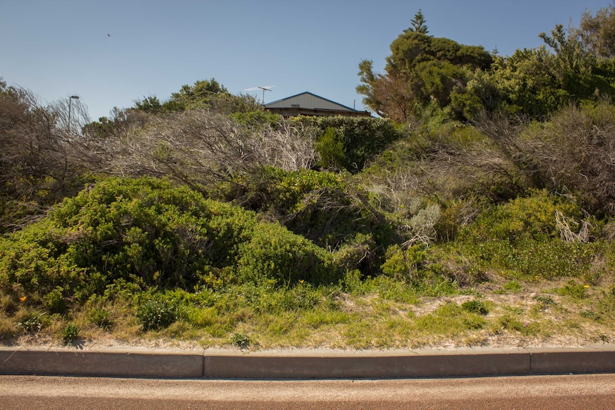 Trigg beach house peaks out from behind the dune.