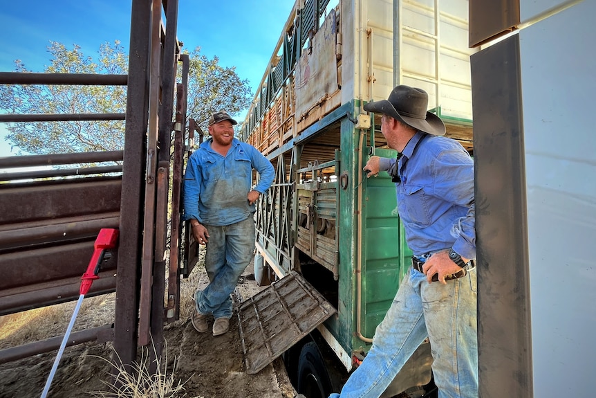 Two farmers standing in front of a cattle truck chatting with eachother. 