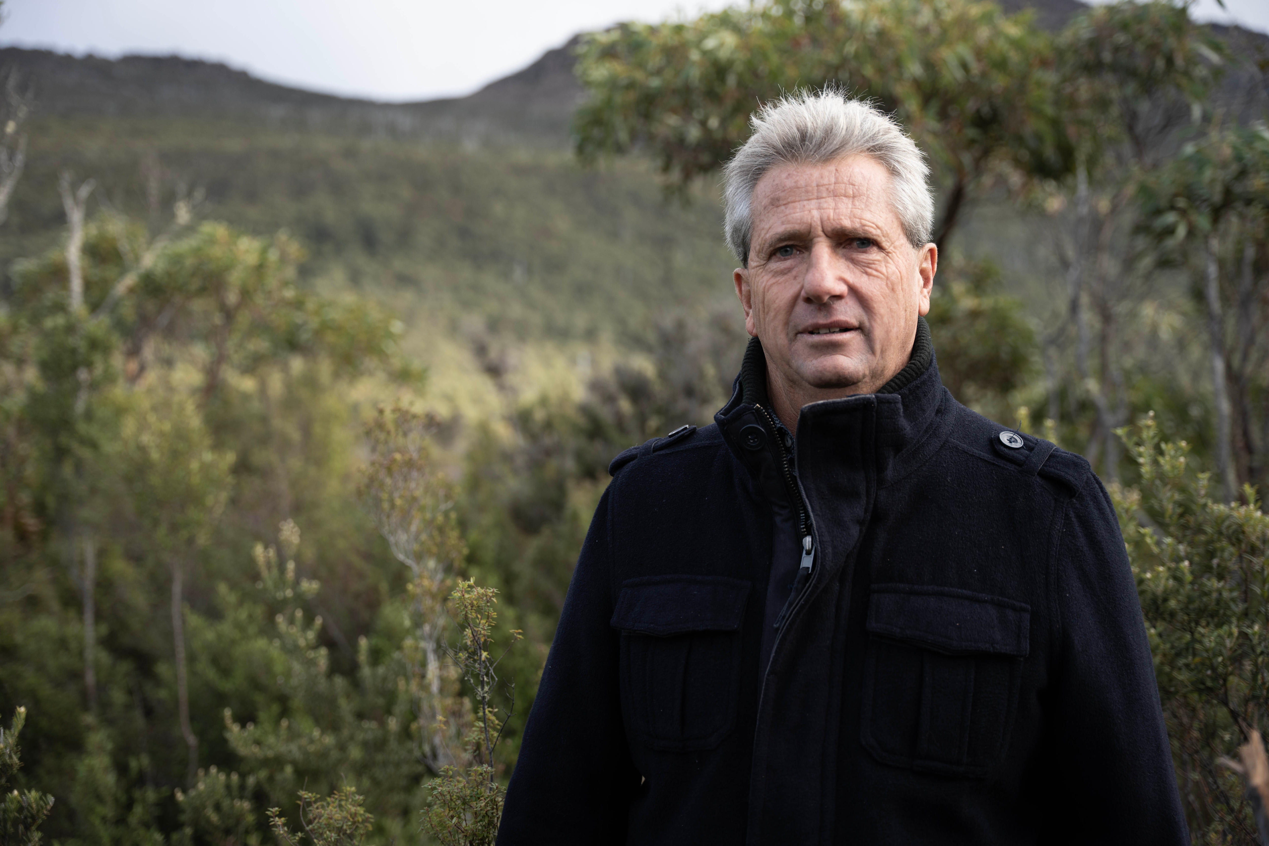 Un hombre se encuentra en un claro del bosque.