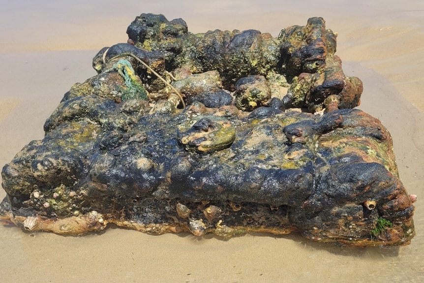 A part of a 50-year-old ferry wreck