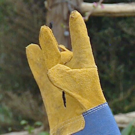 Sue's Garden Stake Protector Tip - Gardening Australia