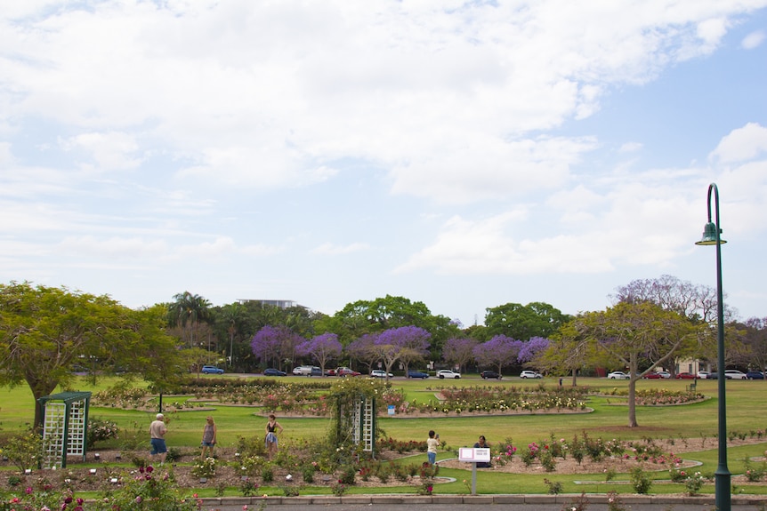 Rose gardens in a park.