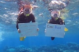 snorkellers holding placards underwater.