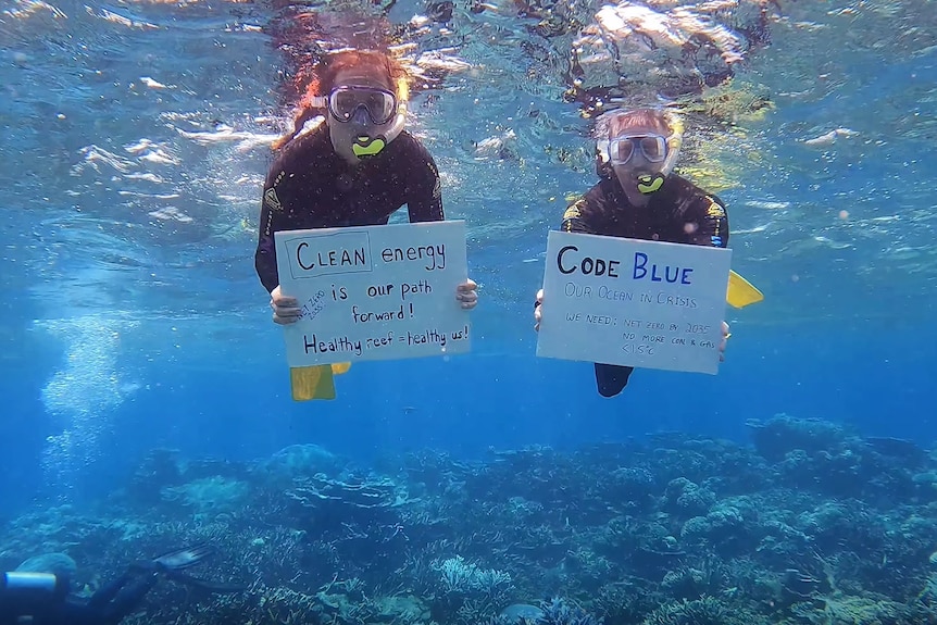 snorkellers holding placards underwater.