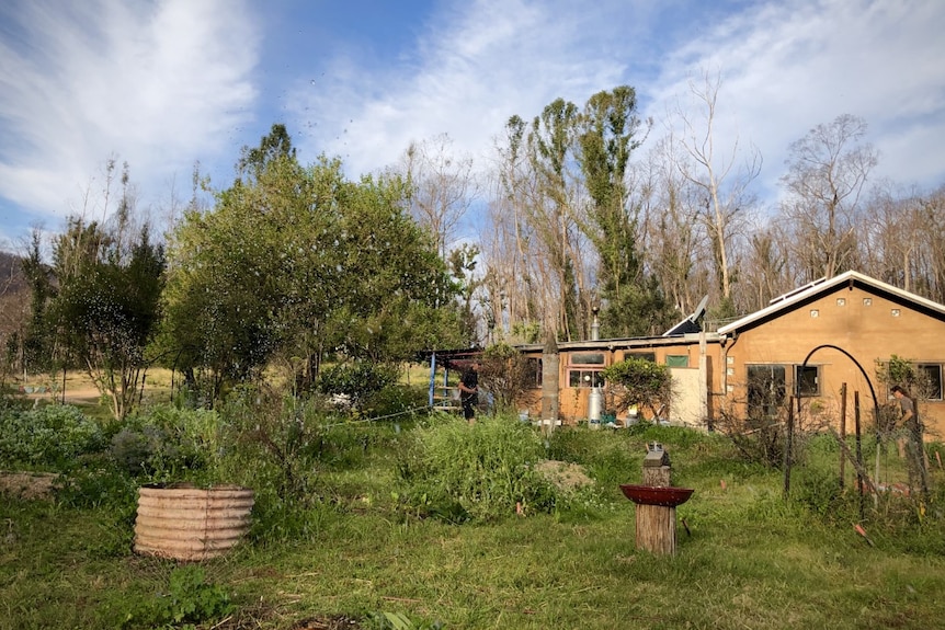 Brett Hawkins watering his green garden surrounded by burnt forest, after the summer bushfires.