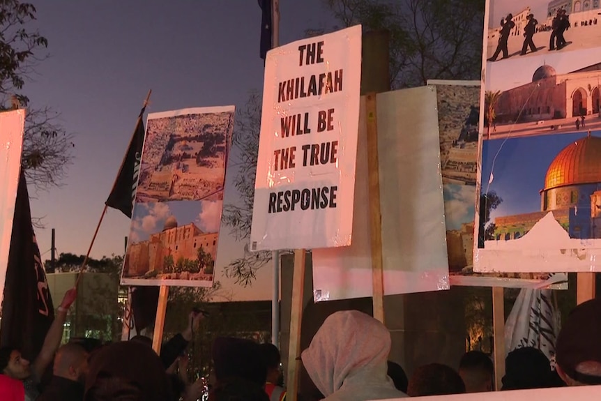 Signs held by attendees at the Palestine support rally.