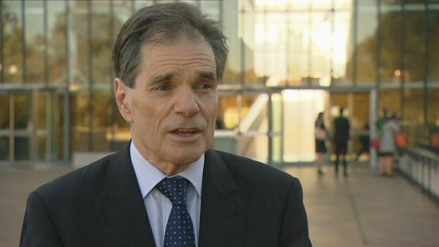 Queensland man Ron Williams speaking outside the High Court in Canberra.