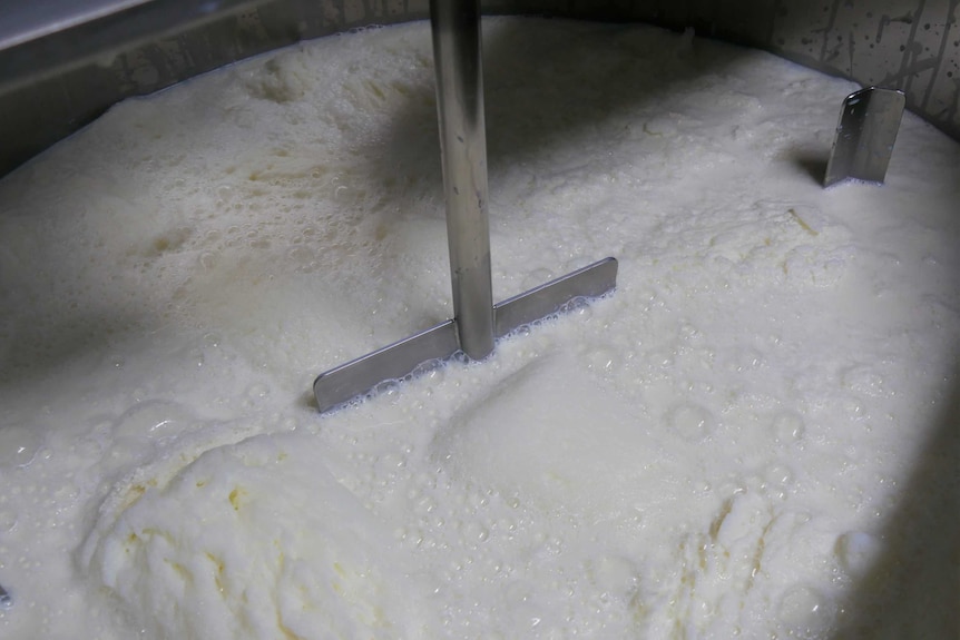 A close up shot of bubbly milk inside a steel drum.