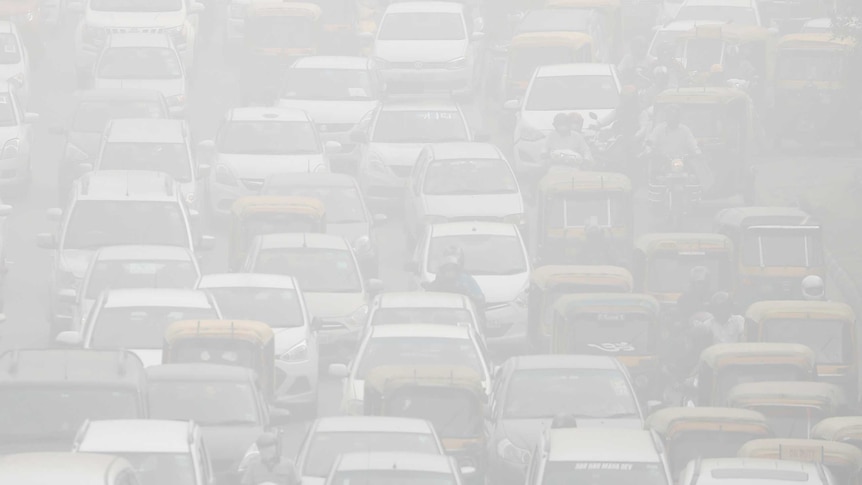 Vehicles drive through heavy smog in Delhi.