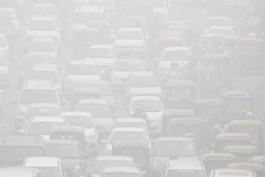 Vehicles drive through heavy smog in Delhi.