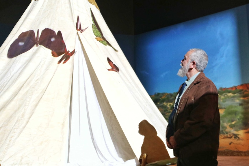 Dr Michael McCarthy looking up at exhibit