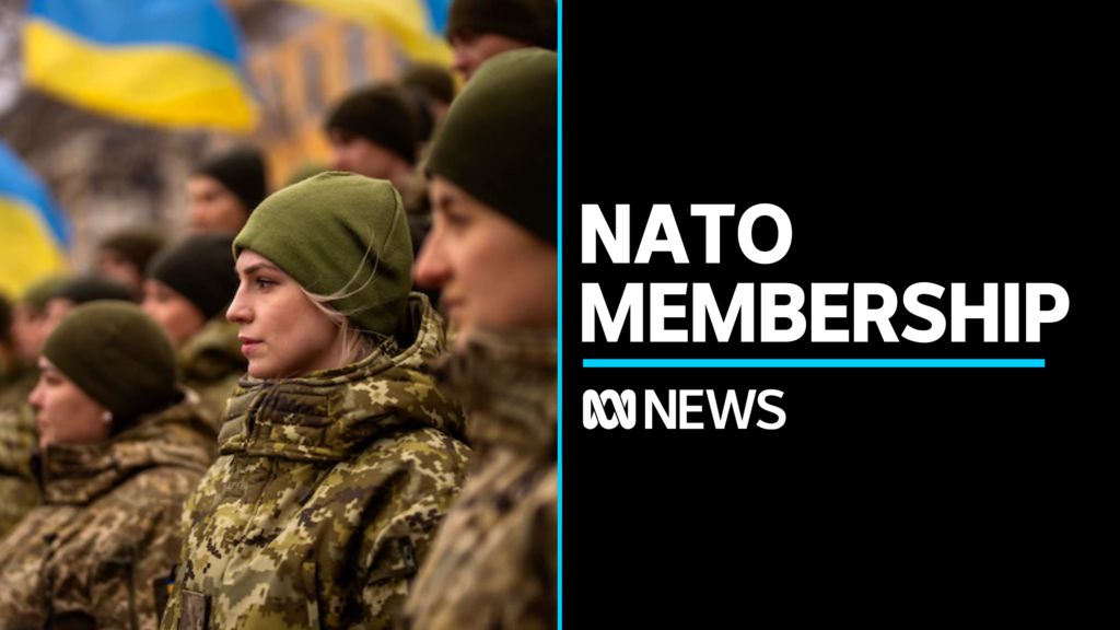 Calls for clear pathway for Ukraine to NATO membership - ABC News