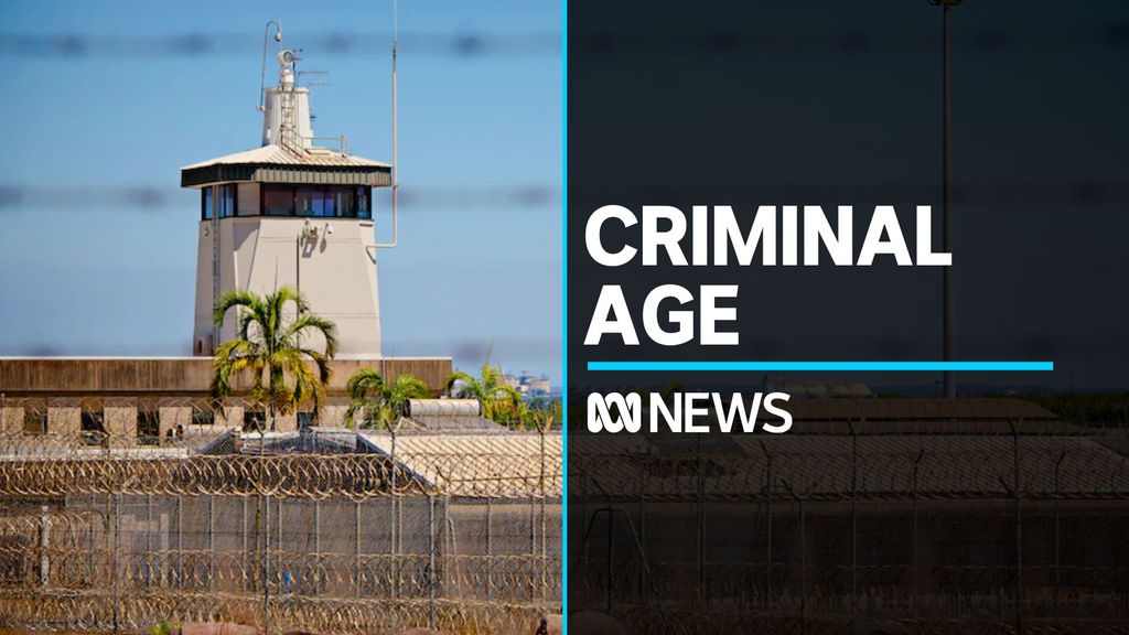 Calls for age of criminal responsibility to be raised to 14 - ABC News