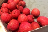 Lychee exports to the US