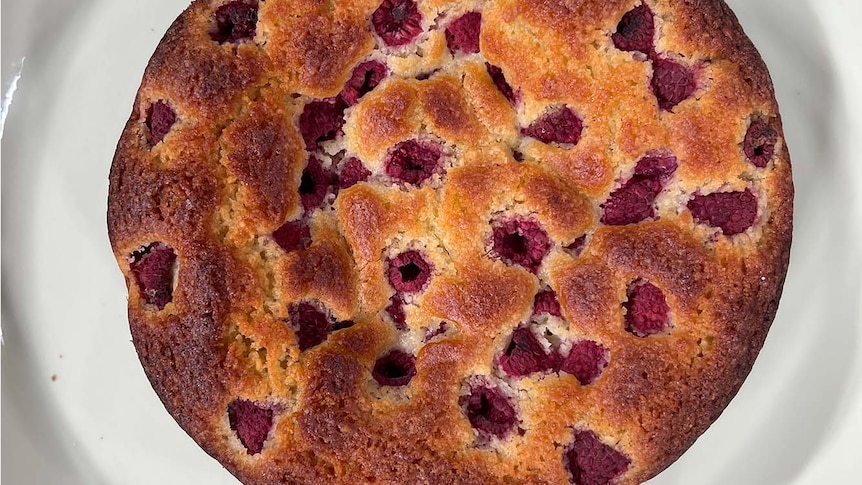 Overhead shot of a  raspberry and olive oil cake on a white plate set on a blue tablecloth.