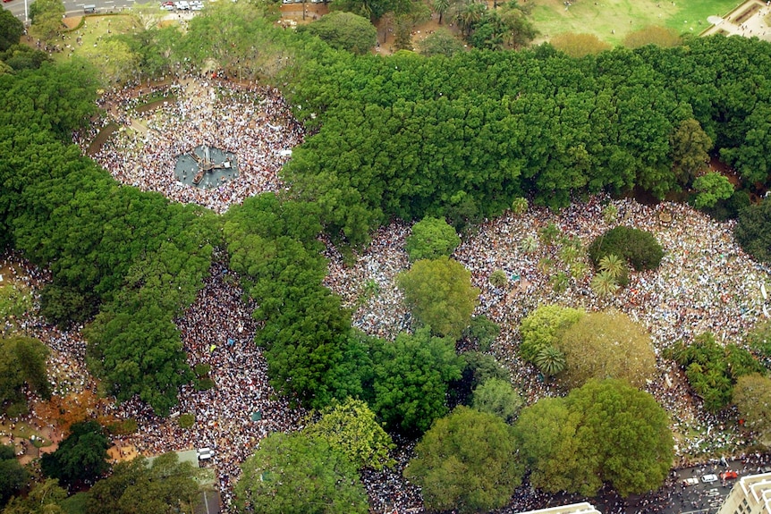Aerial photo of leafy park. All visible areas between the trees are densely packed with indistinguishable people.