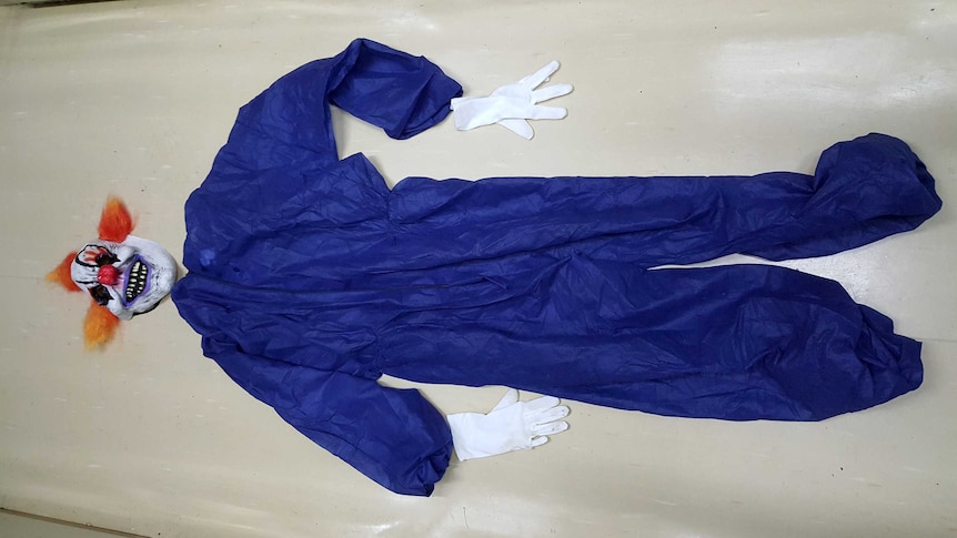 A clown costume - blue jumpsuit, mask and gloves, laid out flat.