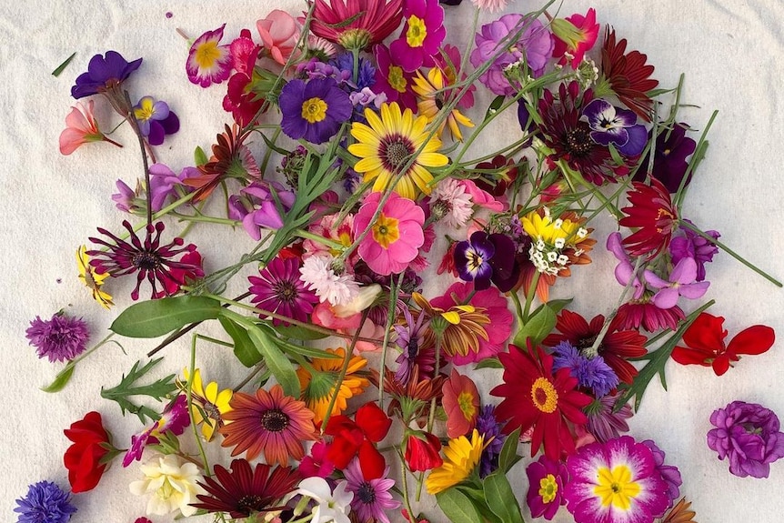 Colourful selection of homegrown edible flowers, freshly picked from the garden.