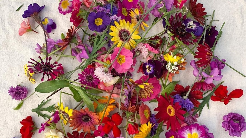 Colourful selection of homegrown edible flowers, freshly picked from the garden.