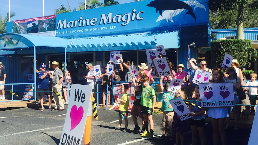 A group of protesters holding signs reading "I LOVE DMM" outside Dolphin Marine Magic in Coffs Harbour.