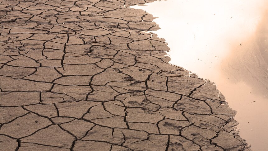 A dry river bed, showing brown, cracked earth.