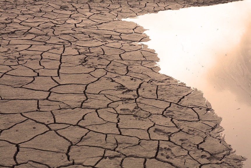 A dry river bed, showing brown, cracked earth.