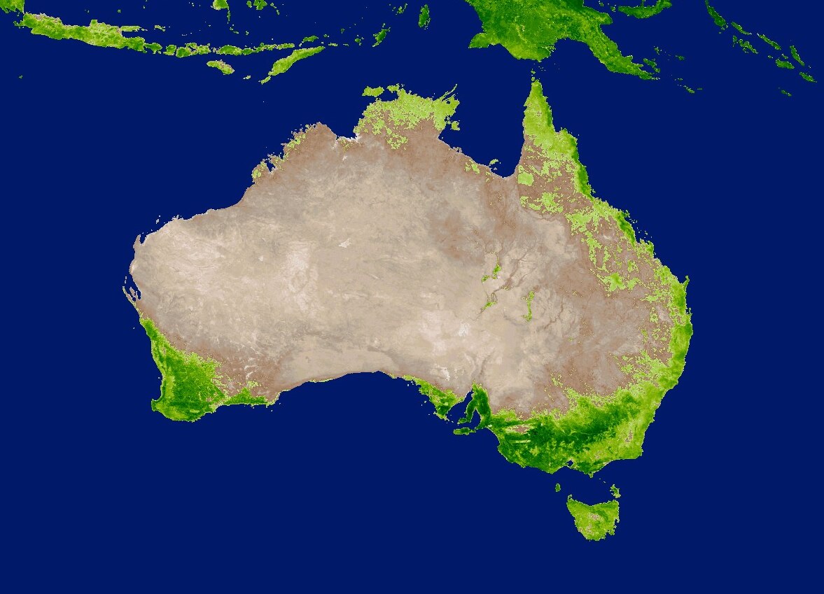 打喷嚏眼睛痒 减轻花粉症症状的小贴士 Abc News