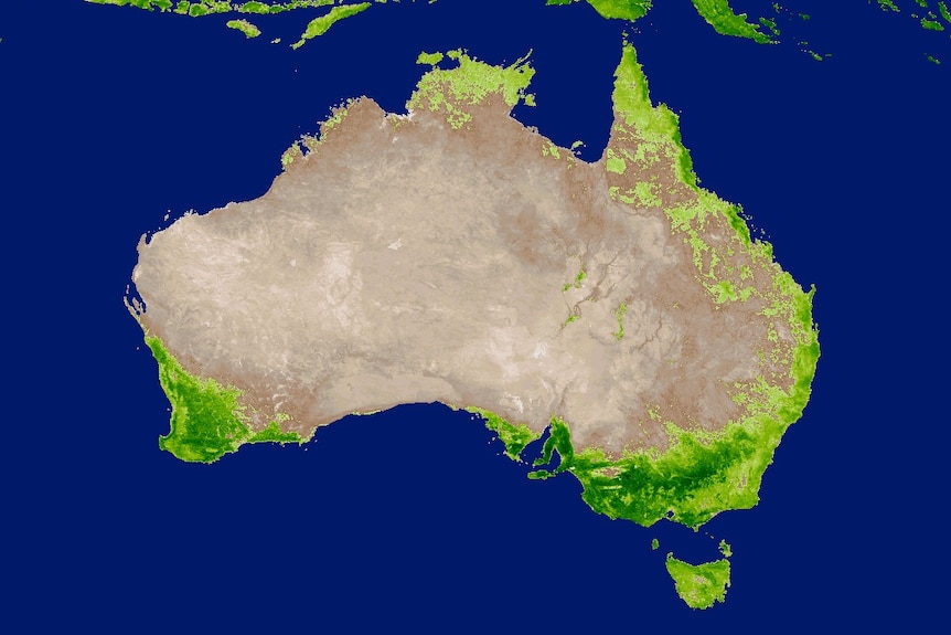 Satellite image showing vegetation growth