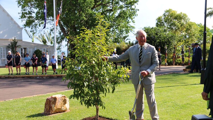 Prince Charles standing by a tree he planted.