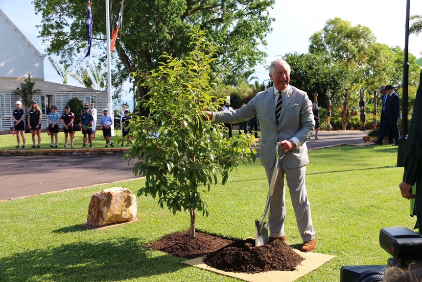 Prince Charles standing by a tree he planted.