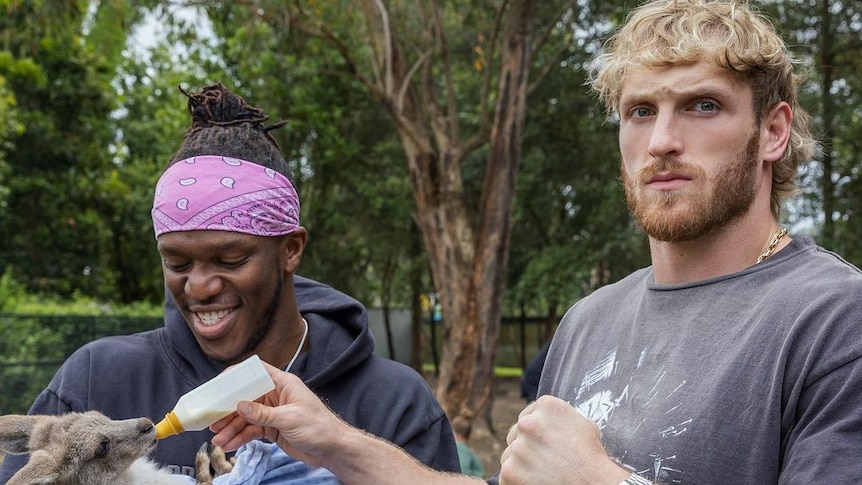 A smiling, purple bandana-wearing KSI holds a kangaroo joey while a stern Logan Paul holds the bottle the joey is feeding from.