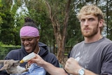 A smiling, purple bandana-wearing KSI holds a kangaroo joey while a stern Logan Paul holds the bottle the joey is feeding from.