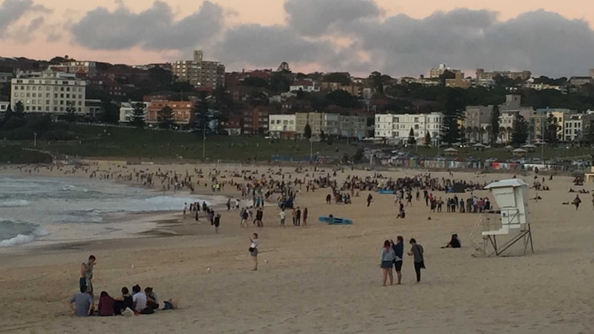 Hundreds of revellers still awake form New Year's Eve line the foreshore of Bondi to watch the first sunrise of 2016